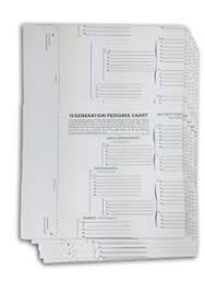 details about treeseek 15 generation pedigree chart 5 pack blank genealogy forms for