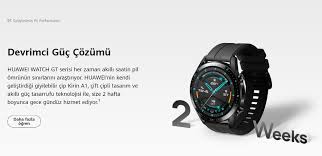 Huawei Watch Gt2 46mm Classic Akilli Saat Kahverengi N11 Com Akilli Saat Kahverengi Gercekler