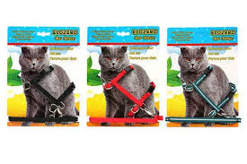 Pet Preety Edozero Kedi Gogus Tasmasi Takimi