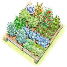 Garden Plans Better Homes Gardens