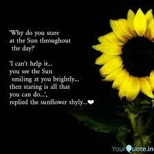 33 Inspirational Sunflower Quotes Memesgag Sunflower Quotes Good Morning Quotes Rose Quotes