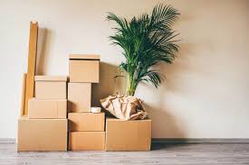 Depending on the size of your load, you can expect to pay between $2,000 and $8,000 for professional movers to take you more than 100 miles from your current home. Best Movers In Dubai Propertyfinder Ae Blog