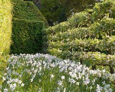 Pin On Lebanon Cedars El Barouk