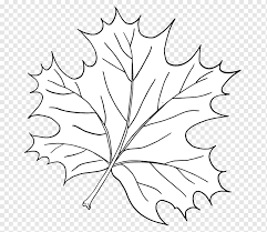 Suatu keharusan bagi kita untuk bersyukur serta melindungi. Bunga Hitam Putih Daun Tumbuhan Ranting Biologi Batang Tanaman Pendidikan Guru Daerah Clipart Biologi Hitam Dan Putih Png Pngwing