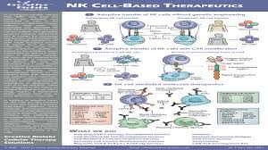 Maybe you would like to learn more about one of these? Eposters Nk Cell Based Therapeutics Creative Biolabs