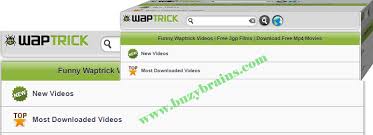 Download free stock video footage with over 70,000 video clips in 4k and hd. Waptrick Videos Waptrick Videos Download Free Buzybrains