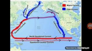 Ocean Currents Of The North Pacific Ocean Youtube