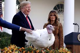 We did not find results for: President Trump Pardons The National Thanksgiving Turkey Deseret News