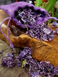 17 99 Sale Price These Vibrant Freeze Dried Lilac Flowers Exude Sophistication And Elegance Use The Lilac Flowers Fleurs Mauves Couleur Lavande Belles Fleurs