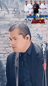 La Traicionera: Canción de Los Temerarios