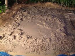 a recipe for quicksand radiolab
