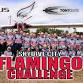 Flamingo Challenge (20/40/60 ways) event image