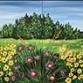 SELF-CARE SUNDAY ~ Summer Meadow (16+)