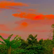 Collection by alya oktavia putri. Indie Kid Aesthetic Aesthetic Indie Skater City Urban Edit Edits Saturated Vsco City Aesthetic Sky Sky Aesthetic Aesthetic Indie Indie Aesthetic