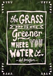 The Grass Is Always Greener On The Other Side Quotes Meaning Grass Is Greener Where You Water It Words Quotes Words Inspirational Words