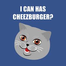 Image result for i can has cheezburger