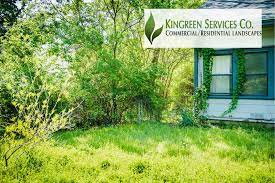 Need immediate assistance, call the national human trafficking hotline. Kingreen Services Kingreenserv Twitter