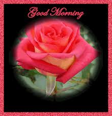 Https Encrypted Tbn0 Gstatic Com Images Q Tbn 3aand9gctwj67hbbk7e2ohli6lshsbjuggm60cgd9evw Usqp Cau