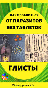 как избавиться от глистов у человека в домашних условиях Glisty Kak Izbavitsya Ot Parazitov Bez Tabletok Narodnymi Sredstvami Glisty Parazity Zdorove Lechenie Health Beauty Health Health Fitness