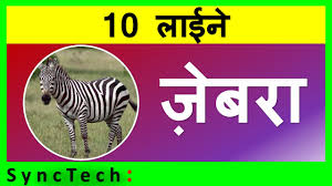 Information provided about camel hair tags: 10 Lines On Camel In Hindi Camel Par 10 Line à¤Š à¤Ÿ à¤ªà¤° à¤¨ à¤¬ à¤§ Youtube