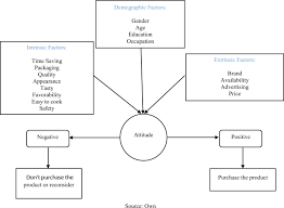 Prior to the 1970s, there was a serious economic imbalance in malaysia in the areas of distribution of income. Factors Influencing Consumers To Take Ready Made Frozen Food Springerlink
