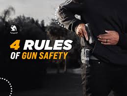Image result for Gun Safety