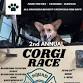 Catawissa Corgi Race