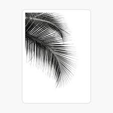 And another way to get my house feeling summery is to fill my frames with some fresh tropical leaf prints. Palm Leaves Black And White Modern Minimalist Art Art Board Print By Moderntrend Redbubble