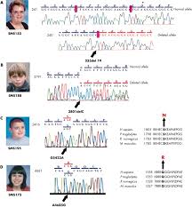 Rai 1 is italian television network owned by rai. Rai1 Variations In Smith Magenis Syndrome Patients Without 17p11 2 Deletions Journal Of Medical Genetics