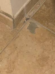 Maybe you would like to learn more about one of these? Chipped Tile In A Common Area Picture Of Guy Harvey Resort St Augustine Beach Saint Augustine Beach Tripadvisor