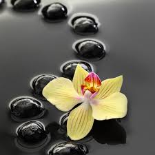 Image result for calming images