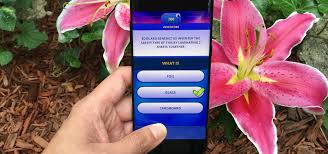 It's like the trivia that plays before the movie starts at the theater, but waaaaaaay longer. Gaming The 9 Best Free Trivia Games For Android Iphone Smartphones Gadget Hacks