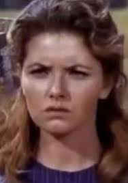 The Big Valley 1.14 The Brawlers' (1965)