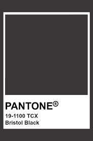 pantone 19 1100 tcx bristol black colour palettes color primary colors