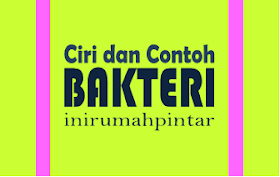 Ciri Ciri Contoh Bakteri Menguntungkan Dan Merugikan Manusia Inirumahpintar Com