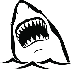 Free Free 220 Shark Mouth Open Svg SVG PNG EPS DXF File