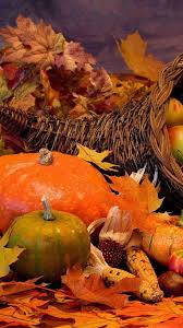 Pumpkin, thanksgiving, vegetable, natural foods wallpaper for android full hd, 1080×1920 food and drink background. Thanksgiving Iphone Wallpapers Wallpaper Cave