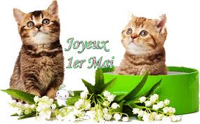 RÃ©sultat de recherche d'images pour "gif animai 1er mai"