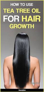 Tea tree oil will help to encourage hair growth by healing up damaged or clogged hair follicles. How To Use Tea Tree Oil For Hair Growth Tea Tree Oil Hair Essential Oils For Hair Vitamins For Hair Growth