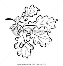 Choose your favorite coloring page and color it in bright colors. Oak Leaf With Acorns Coloring Page Vector Clip Art Picture