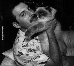 Lauren Erdman (alaurena)