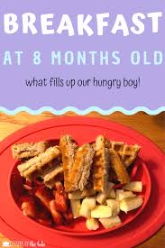 Maybe you would like to learn more about one of these? Baby Finger Foods In 2021 Baby Food Breakfast Baby Eating 8 Month Old Baby Food
