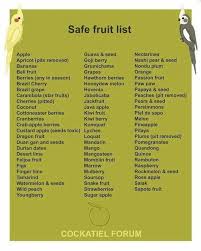 Pin By Marilyn Ray On Birds Fruit List Papaya Seeds Bird Supplies