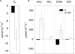 704), cu modificările şi completările ulterioare, guvernul hotărăşte: Frontiers Zebra Mussel Holobionts Fix And Recycle Nitrogen In Lagoon Sediments Microbiology