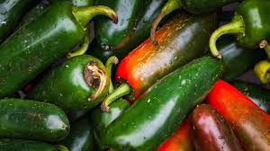 Image result for Capsicum