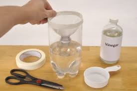 How To Make A Gnat Trap With A Soda Bottle Hunker Gnat Traps Homemade Gnat Trap Gnats