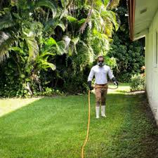 Search do it yourself pest. Our Blog Manning Pest Control Oakland Ft Lauderdale Fl