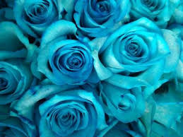 See more ideas about dye flowers, tie dye, flowers. How To Make Blue Green And Purple Roses Preserved Roses