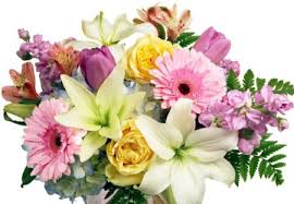 Irises are perennial plants and grow from rhizomes or bulbs, depending on the species. Celebrate Spring With Some Of The Season S Brightest Flowers Mcnamara Florist