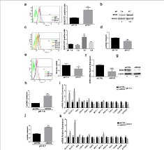 Sox2 Is Up Regulated By Extracellular Acidosis And Its